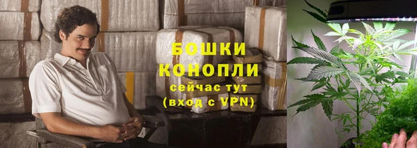 спиды Липки