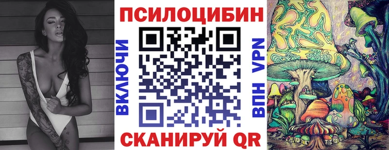 Галлюциногенные грибы Psilocybine cubensis  Купить закладки  Новоаннинский 